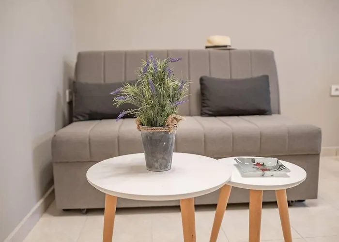 El Sueno De Zante 2Nd City Center Apartments